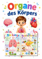 Vorschau - Poster - Lernkarte – Organe des Körpers – Sachunterricht – Der menschliche Körper 3. Klasse - Deckblatt