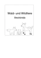 Vorschau - Stationenlernen - Wald- und Wildtiere - Materialpaket - Seite 2