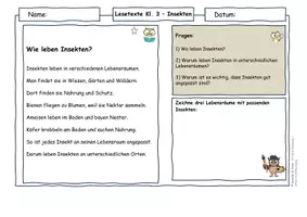 Vorschau - Arbeitsblätter - Insekten Klasse 3 | Lesetexte & Sachtexte | Ursache-Wirkung & System verstehen | differenziert mit Lösungen - Seite 1