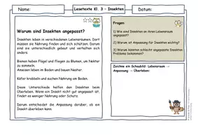 Vorschau - Arbeitsblätter - Insekten Klasse 3 | Lesetexte & Sachtexte | Ursache-Wirkung & System verstehen | differenziert mit Lösungen - Seite 2