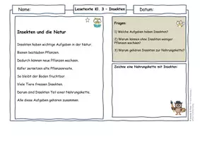 Vorschau - Arbeitsblätter - Insekten Klasse 3 | Lesetexte & Sachtexte | Ursache-Wirkung & System verstehen | differenziert mit Lösungen - Seite 3