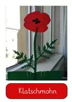 Vorschau - Arbeitsblätter - Maxi-Paket: Wiesenblumen (AB, Faltbuch, Bildkarten, Powerpoint, interaktives Power-Point-Quiz und Fensterbild) - Seite 1
