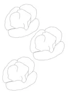 Vorschau - Arbeitsblätter - Maxi-Paket: Wiesenblumen (AB, Faltbuch, Bildkarten, Powerpoint, interaktives Power-Point-Quiz und Fensterbild) - Seite 2