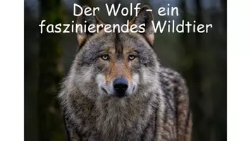 Vorschau - Stundenentwürfe - Materialpaket Sachtexte "Tiere" und einen informierenden Text verfassen - Seite 2