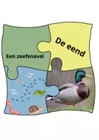 Voorbeeld - Puzzels van soorten snavels - Pagina 2