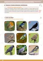 Voorbeeld - Themaboekje voor leerlingen vogels - Pagina 3