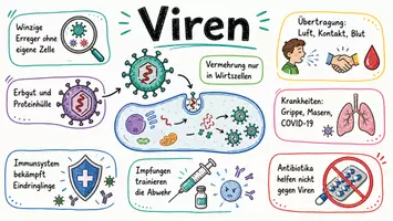 Vorschau - Arbeitsblätter - AB mit Fragen zum Thema "biologische Viren" + Lösungsblatt + Infografik - Seite 1