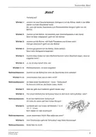 Vorschau - Arbeitsblätter - Hicks! - Ein originelles Mini-Theaterstück für die Weihnachtszeit - Seite 2