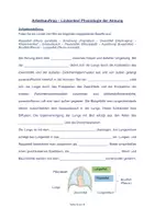 Vorschau - Arbeitsblätter - Lückentext - Physiologie der Atmung - Seite 1