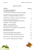 Vorschau - Arbeitsblätter - KlangKISTE: Raupe-Schmetterling - Kita & Grundschul-Projekt mit umfangreicher Materialsammlung inklusive farbiger Kopiervorlagen, Noten und mehr - Seite 2
