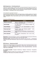 Vorschau - Arbeitsblätter - Erkrankungen des Bewegungsapparats – Rücken, Knochen & Gelenke - Seite 2