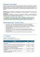 Vorschau - Arbeitsblätter - Atemwegserkrankungen – Asthma, COPD & Lungenentzündung - Seite 3