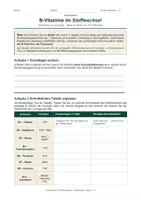 Vorschau - Unterrichtsreihen - B-Vitamine im Stoffwechsel – Interaktive Lernapp - Seite 2