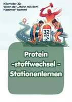 Vorschau - Unterrichtsreihen - Proteinstoffwechsel-Parcours - Kontext Hammermann bei 32km - Deckblatt