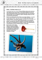 Vorschau - Arbeitsblätter - Bionik - Geniale Tricks und Erfindungen der Natur - Seite 1