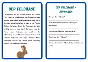 Vorschau - Stationenlernen - Lesekartei Wiesentiere: Sachtexte mit Aufgaben / Klasse 3/4 - Seite 1