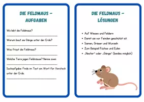 Vorschau - Stationenlernen - Lesekartei Wiesentiere: Sachtexte mit Aufgaben / Klasse 3/4 - Seite 3