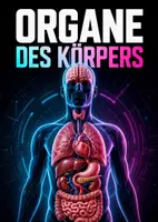 Vorschau - Poster - Lernkarte – Organe des Körpers – Biologie – Körper und Gesundheit 6. Klasse - Seite 1