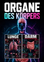 Vorschau - Poster - Lernkarte – Organe des Körpers – Biologie – Körper und Gesundheit 6. Klasse - Deckblatt