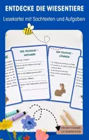 Vorschau - Stationenlernen - Lesekartei Wiesentiere: Sachtexte mit Aufgaben / Klasse 3/4 - Deckblatt