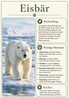 Vorschau - Poster - Lernkarte – Raubtiere der Welt – Biologie – Ökosysteme und Nahrungsbeziehungen 6. Klasse - Seite 2