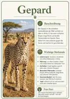 Vorschau - Poster - Lernkarte – Raubtiere der Welt – Biologie – Ökosysteme und Nahrungsbeziehungen 6. Klasse - Seite 3