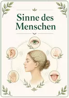 Vorschau - Poster - Lernkarte – Sinne des Menschen – Biologie – Sinnesorgane des Menschen 5. Klasse - Seite 1