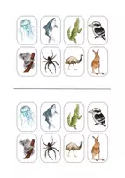 Vorschau - Arbeitsblätter - AUSTRALIA - animals - Seite 2