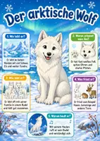 Vorschau - Poster - Lernkarte – Tiere der Arktis – Sachunterricht – Tiere und Lebensräume 3. Klasse - Seite 2