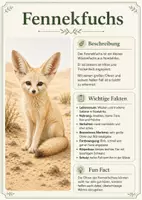 Vorschau - Poster - Lernkarte – Tiere der Wüste – Biologie – Ökosysteme 6. Klasse - Seite 3