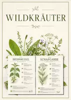 Vorschau - Poster - Lernkarte – Wildkräuter – Biologie – Pflanzen und Ökosysteme 6. Klasse - Deckblatt