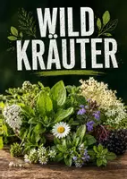 Vorschau - Poster - Lernkarte – Wildkräuter – Biologie – Pflanzen und ihre Lebensräume 6. Klasse - Seite 1