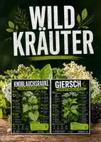 Vorschau - Poster - Lernkarte – Wildkräuter – Biologie – Pflanzen und ihre Lebensräume 6. Klasse - Deckblatt
