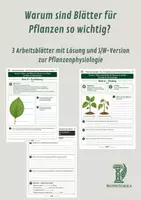 Vorschau - Unterrichtsreihen - Warum sind Blätter für Pflanzen so wichtig? - 3 Arbeitsblätter mit Lösung und S/W-Version zur Pflanzenphysiologie - Deckblatt