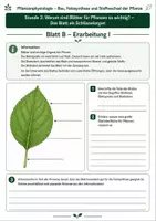 Vorschau - Unterrichtsreihen - Warum sind Blätter für Pflanzen so wichtig? - 3 Arbeitsblätter mit Lösung und S/W-Version zur Pflanzenphysiologie - Seite 2