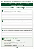 Vorschau - Unterrichtsreihen - Warum sind Blätter für Pflanzen so wichtig? - 3 Arbeitsblätter mit Lösung und S/W-Version zur Pflanzenphysiologie - Seite 3