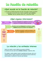 Vista previa - Fichas informativas / Documentos de lectura - La Función de Relación y el Sistema Nervioso - página 1