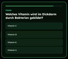 Vorschau - Spiele - Wissenpyramide - Verdauungssystem - Seite 3