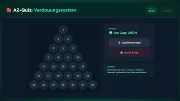 Vorschau - Spiele - Wissenpyramide - Verdauungssystem - Seite 1