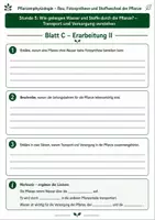 Vorschau - Unterrichtsreihen - Wie gelangen Wasser und Stoffe durch die Pflanze? - 3 Arbeitsblätter mit Lösung und S/W-Version zur Pflanzenphysiologie - Seite 3