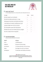 Vorschau - Arbeitsblätter - Das Herz und der Blutkreislauf – Sachtext, Aufgaben & Fallbeispiele - Seite 2