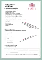 Vorschau - Arbeitsblätter - Das Herz und der Blutkreislauf – Sachtext, Aufgaben & Fallbeispiele - Seite 3