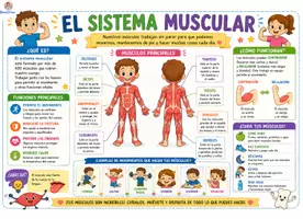 Vista previa - Otros - PARTE 1 EL CUERPO HUMANO - página 3