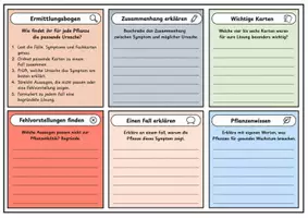 Vorschau - Unterrichtsreihen - Pflanzenphysiologie & Fotosynthese – Komplettpaket mit Arbeitsblättern, Mystery und Lernkontrolle - Seite 3
