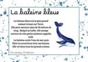 Aperçu - Apprentissages en autonomie - Rallyes copie - Les animaux marins (x40) - Page 1