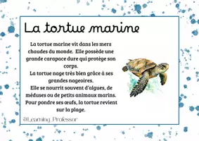 Aperçu - Apprentissages en autonomie - Rallyes copie - Les animaux marins (x40) - Page 2