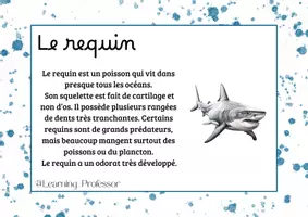 Aperçu - Apprentissages en autonomie - Rallyes copie - Les animaux marins (x40) - Page 3