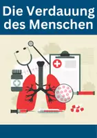 Vorschau - Arbeitsblätter - Verdauungssystem – Mund bis Darm, Enzyme & Resorption - Deckblatt