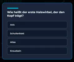 Vorschau - Spiele - Wissenpyramide - Skelettsystem - Seite 2