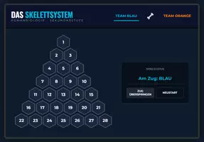Vorschau - Spiele - Wissenpyramide - Skelettsystem - Seite 1